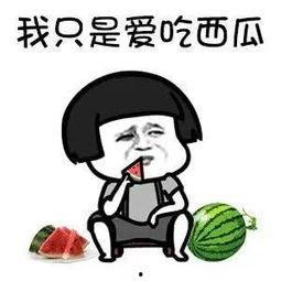 吃瓜娱乐圆,揭秘娱乐圈幕后故事与热点事件